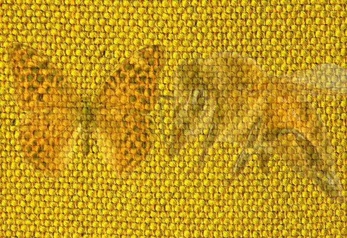  Resimde ilk hangi hayvanı gördün? Kelebek mi arı mı? Kişilik testi kişilik sırrınızı söylüyor