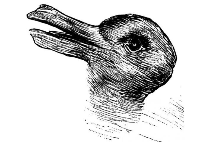 Tavşan mı ördek mi görüyorsun? Kişilik testi seni tanımlıyor