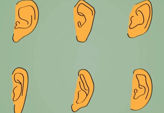 Kişilik testi! Kulaklarınızın şekli sizin hakkınızda ne söylüyor?
