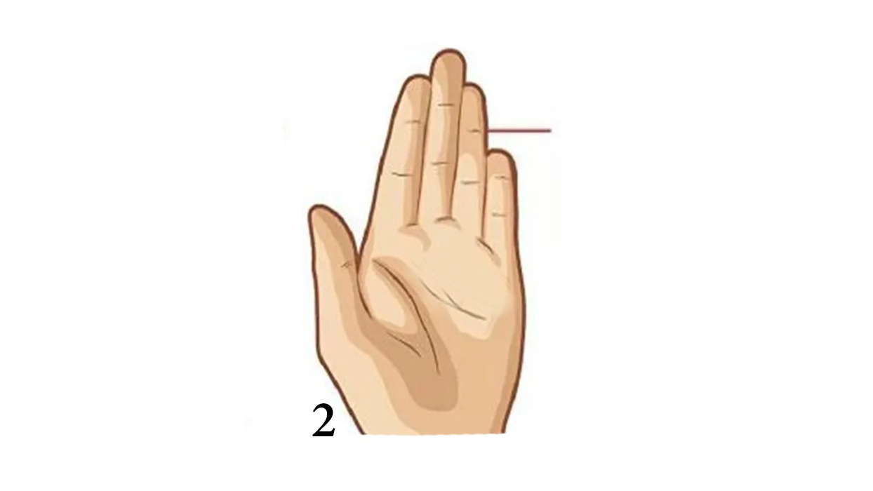 İkinci şıkkı seçtiniz! Serçe parmağınız yüzük parmağınızın çizgisinden küçük.