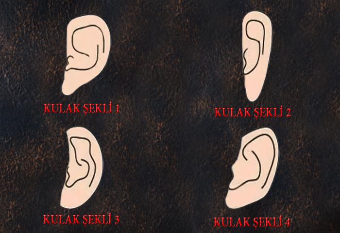 Hangi kulak şekline sahipsiniz? 
