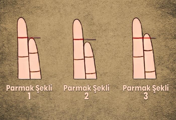 Parmak şeklin nasıl?