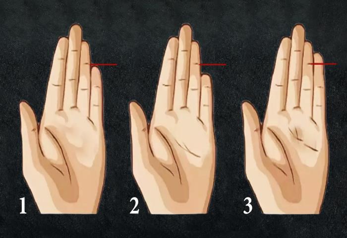 Hangi parmak şekli sizinkine daha yakın?