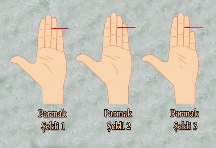 Hangi parmak şekli seninkine beziyor?