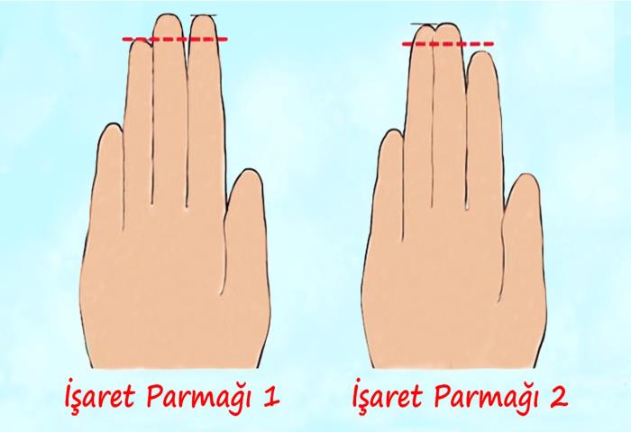 Hangi işaret parmağı sizinkine daha yakın? 