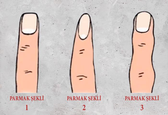 Hangi parmak şekli sizinkine daha yakın? 