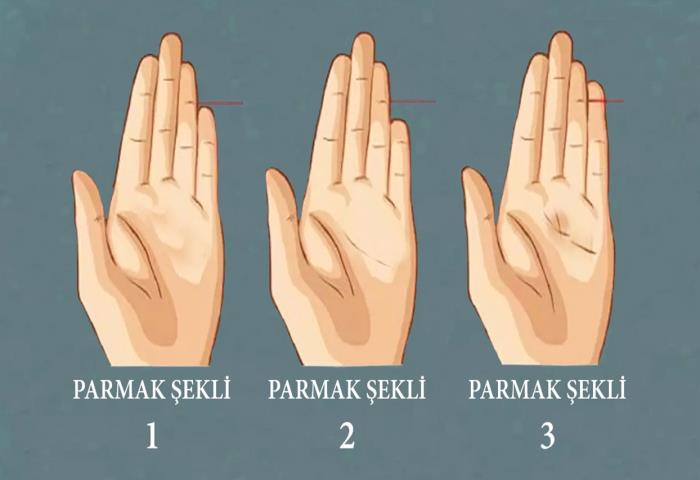Hangi parmak şekli sizinkine benziyor?