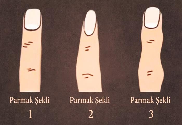 Resimdeki hangi parmak şekli sizinkine daha çok benziyor?