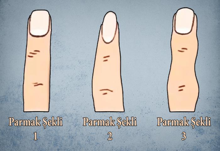 Resimdeki hangi parmak şekli seninkine daha çok benziyor?