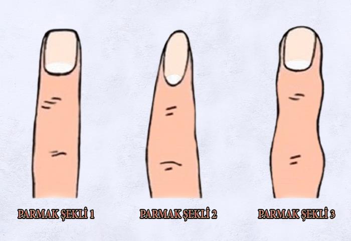 Hangi parmak şekline sahipsiniz? 