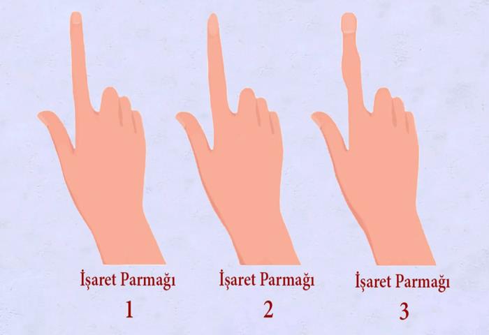 Hangi işaret parmağı sizinkine benziyor? 
