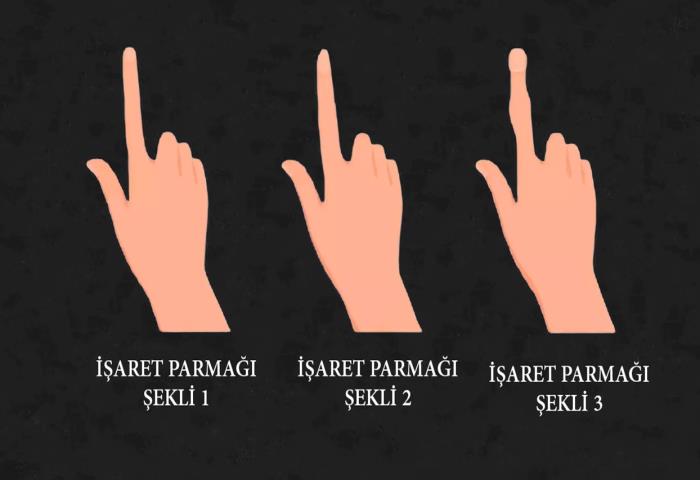 Hangi işaret parmağı sizinkine benziyor?