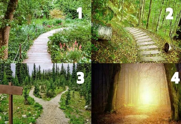 Ormanda yürüyüş yapsan hangi yolu seçersin?