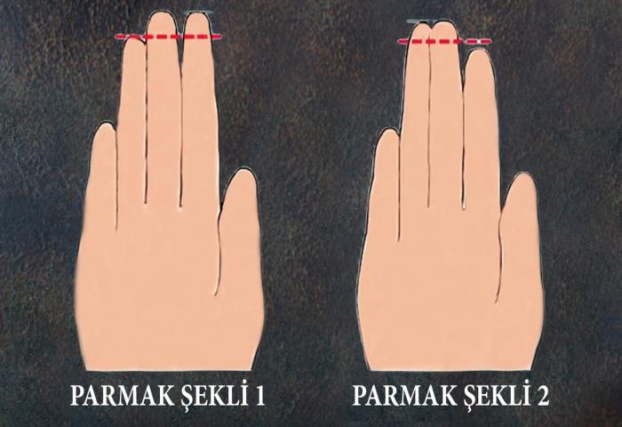 Hangi parmak şekli sizinkine benziyor? 
